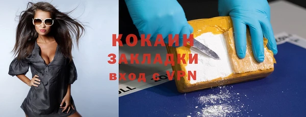 индика Инсар