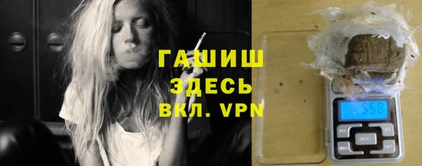 индика Инсар