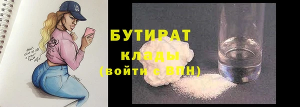 индика Инсар