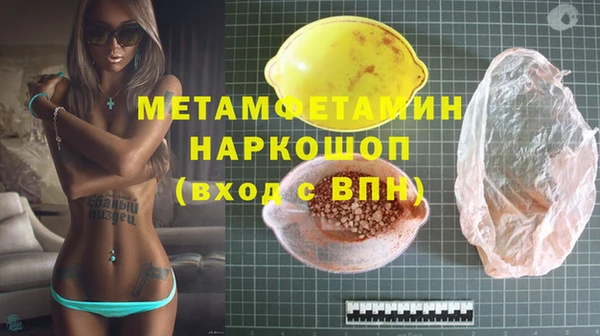 индика Инсар