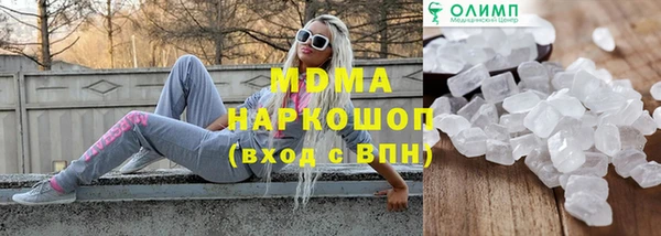 индика Инсар