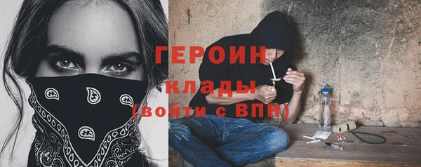 индика Инсар