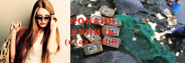 индика Инсар