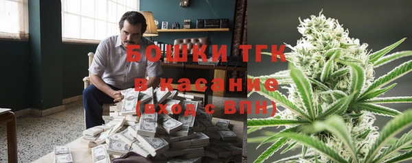 индика Инсар
