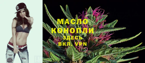 индика Инсар