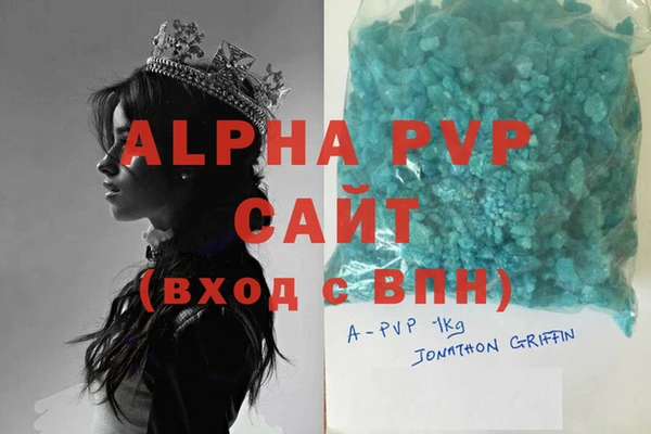 индика Инсар