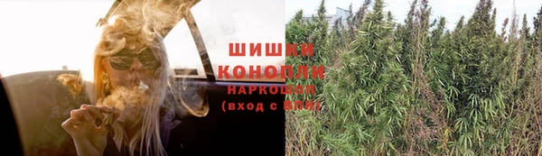 индика Инсар